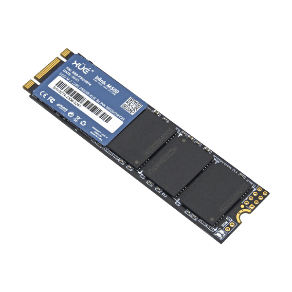 DISCO SOLIDO 256GB M2 2242
